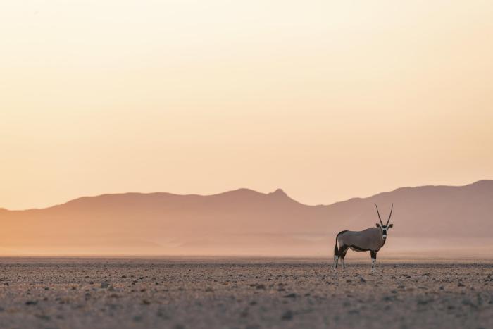 Cedarberg Travel | Little Kulala