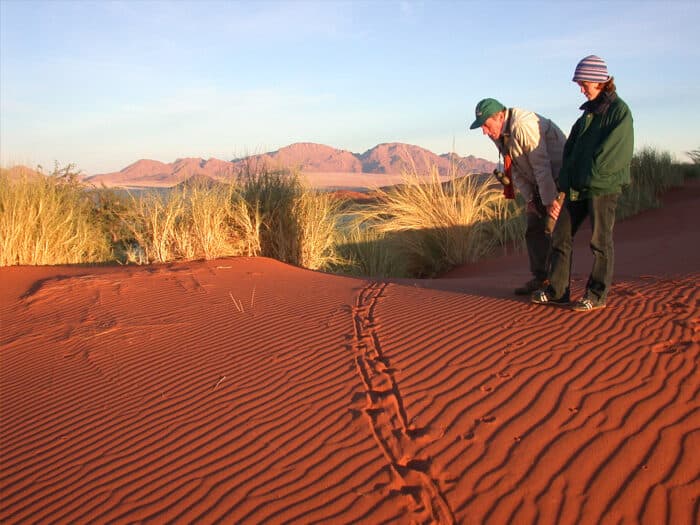 Cedarberg Travel | Wolwedans Dune Camp