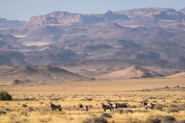 Cedarberg Travel | Wilderness Damaraland Camp