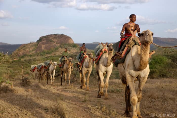 Cedarberg Travel | Ol Malo Lodge