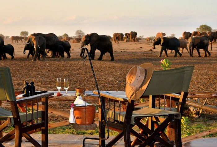 Cedarberg Travel | Satao Camp