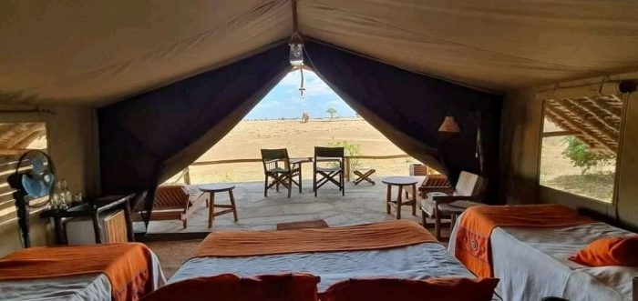 Cedarberg Travel | Satao Camp