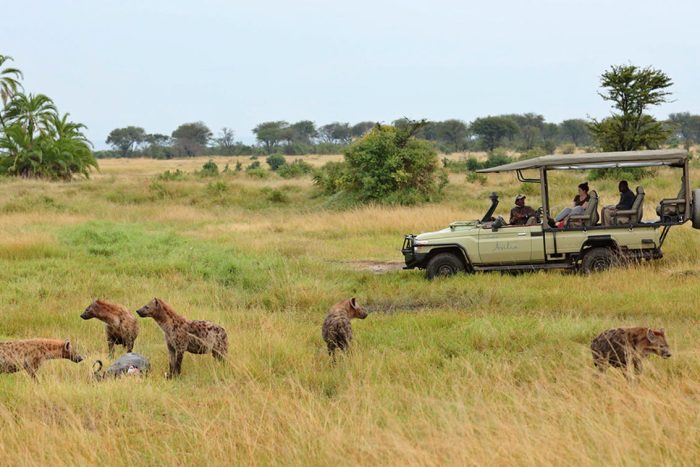 Cedarberg Travel | Sayari Camp