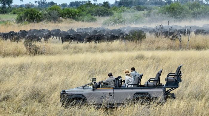 Cedarberg Travel | Tubu Tree Camp