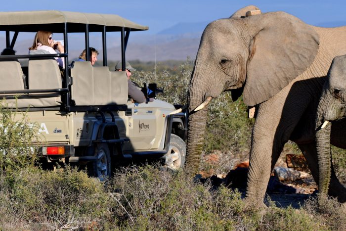 Cedarberg Travel | Dwyka Tented Lodge at Sanbona