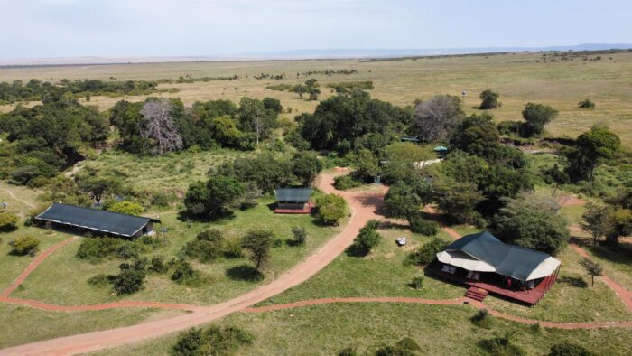 Cedarberg Travel | Porini Lion Camp