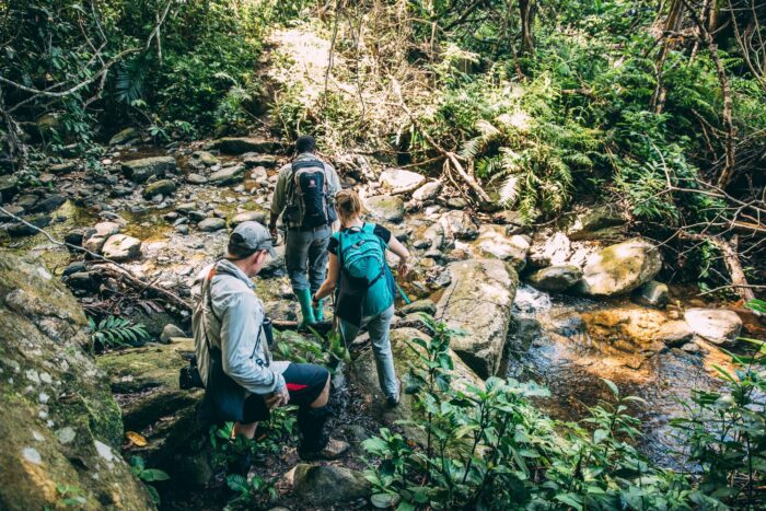 Cedarberg Travel | Greystoke Mahale Camp