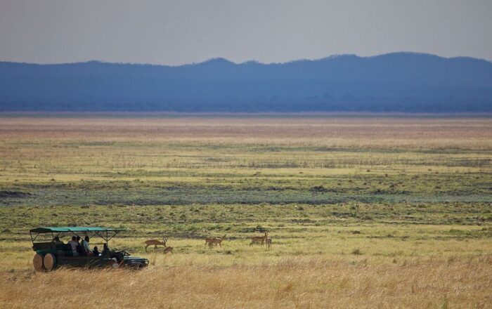 Cedarberg Travel | Katavi Wildlife Camp