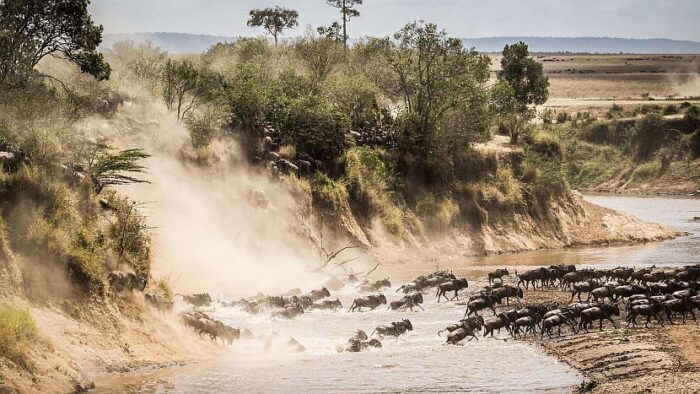 Cedarberg Travel | Scenic Safari in Kenya