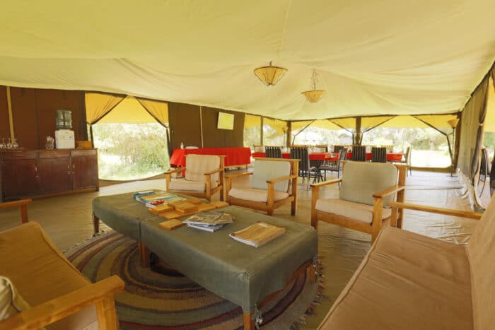 Cedarberg Travel | Porini Lion Camp