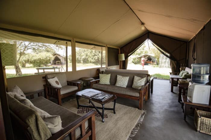 Cedarberg Travel | Porini Lion Camp