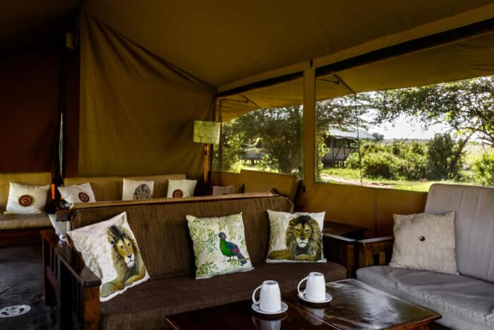 Cedarberg Travel | Porini Lion Camp