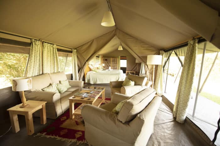 Cedarberg Travel | Porini Lion Camp