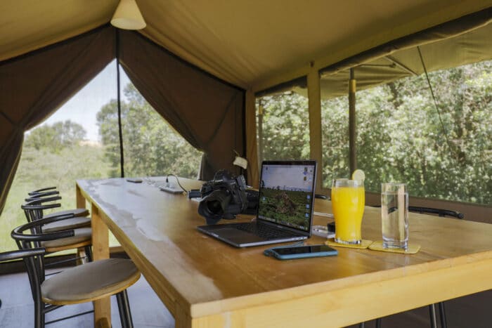 Cedarberg Travel | Porini Lion Camp