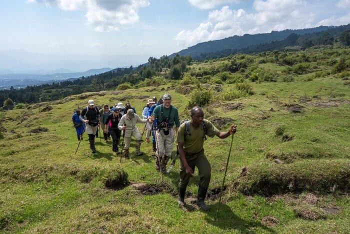 Cedarberg Travel | Gorilla Mountain Snapshot in Rwanda