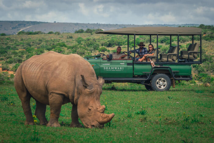 Cedarberg Travel | Bayethe at Shamwari Private Game Reserve