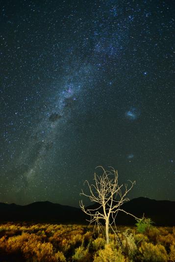 Cedarberg Travel | Tilney Manor at Sanbona