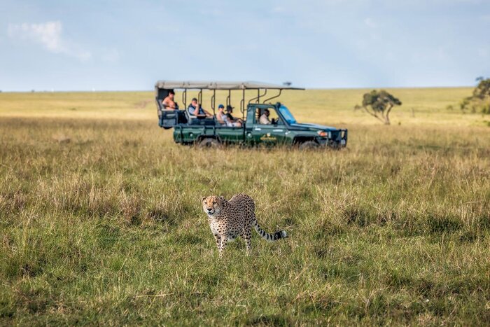 Cedarberg Travel | Elephant Pepper Camp