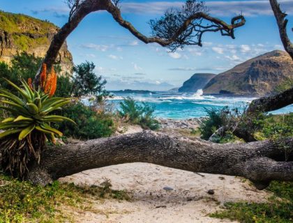 Eastern Cape wild coast