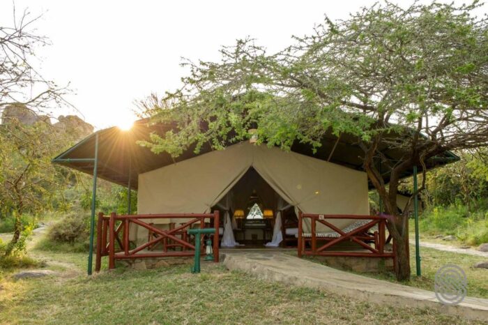 Cedarberg Travel | Mbuzi Mawe Serena Camp