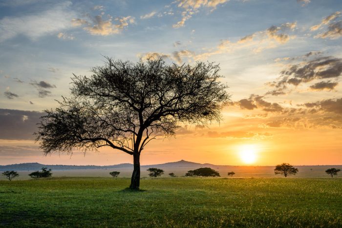 Cedarberg Travel | Singita Sabora Tented Camp