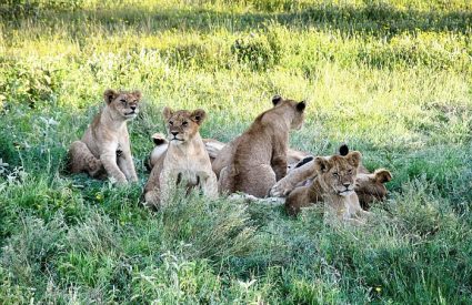 Namibia Fly-In with Skeleton Coast