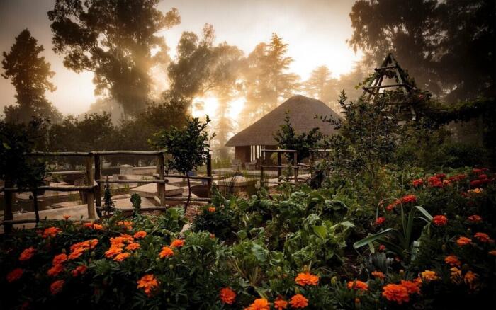 Cedarberg Travel | Hartford House