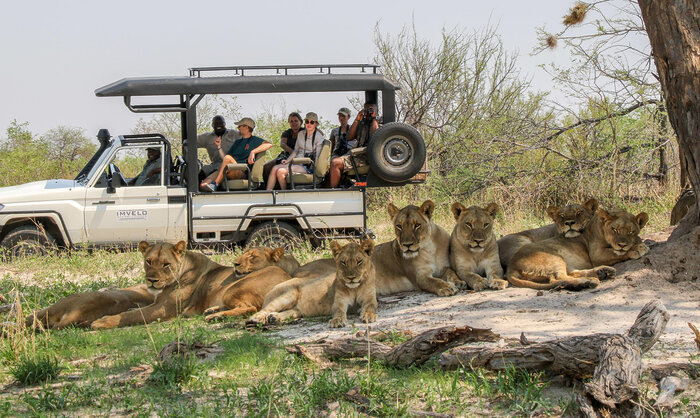 Cedarberg Travel | Nehimba Lodge