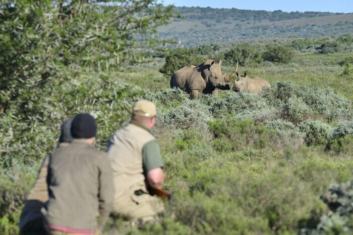 Cedarberg Travel | Shamwari Explorer Camp