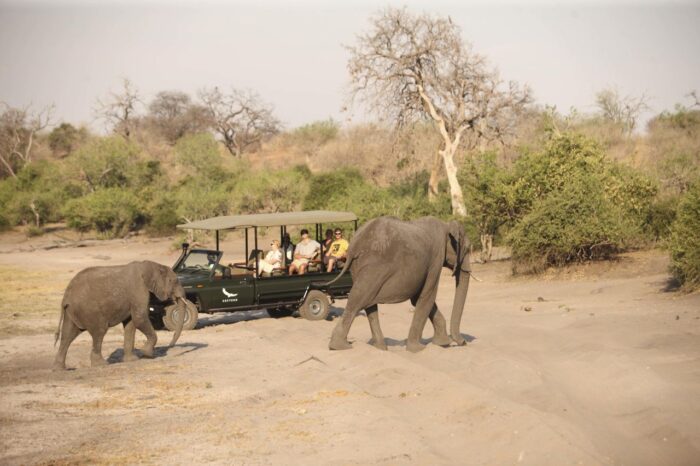 Cedarberg Travel | andBeyond Chobe Under Canvas