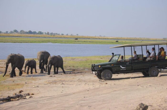 Cedarberg Travel | andBeyond Chobe Under Canvas