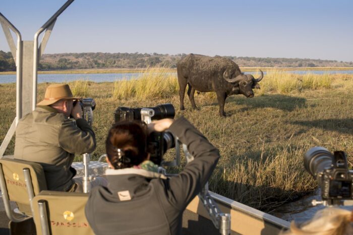 Cedarberg Travel | andBeyond Chobe Under Canvas