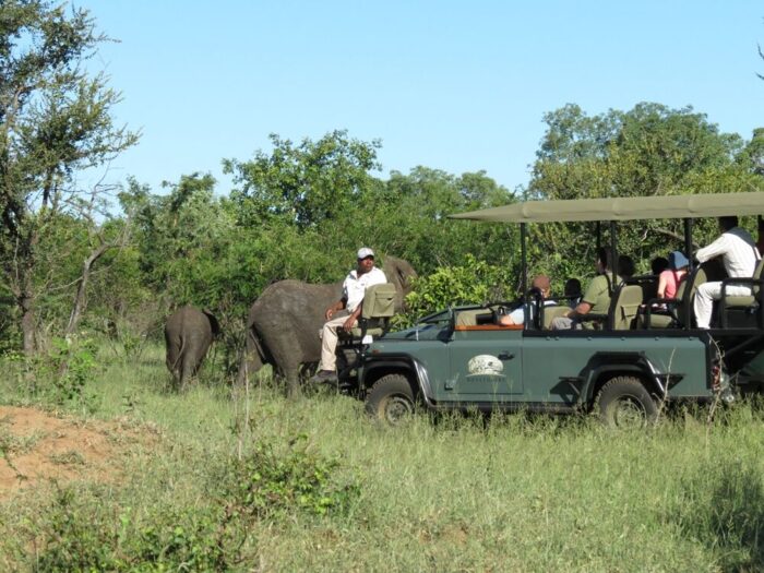 Cedarberg Travel | Honeyguide Tented Safari Camps