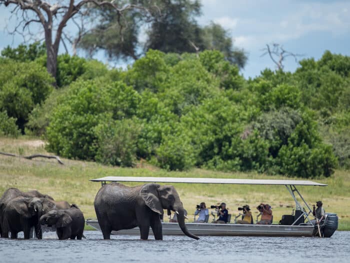 Cedarberg Travel | Pangolin Chobe Hotel