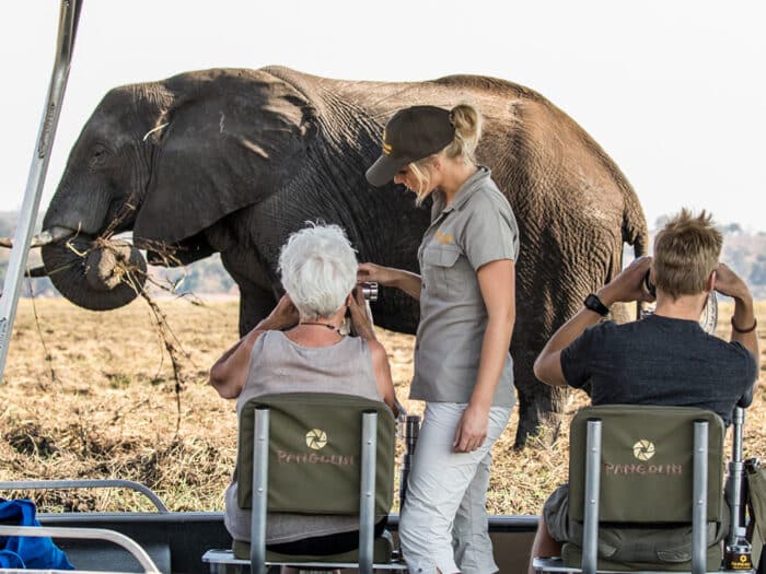 Cedarberg Travel | Pangolin Chobe Hotel