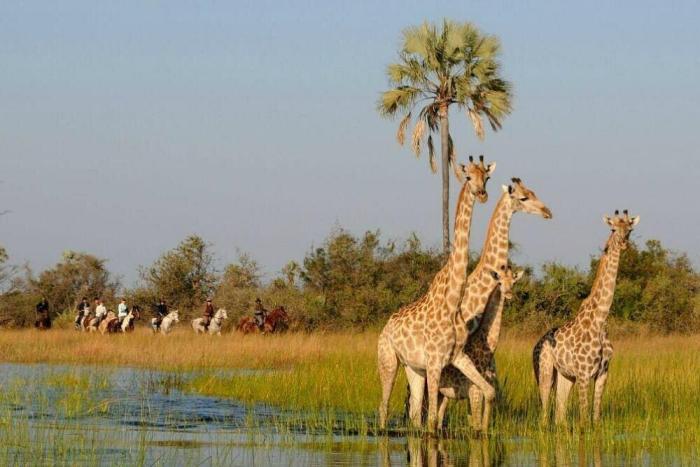 Cedarberg Travel | Macatoo Camp
