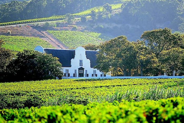 Cedarberg_Africa_Winelands-Boschendal