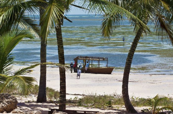 Kenya-Coast_shutterstock_700