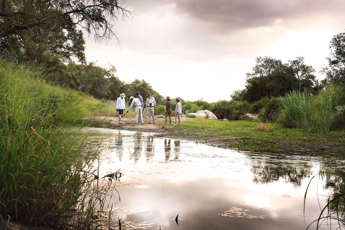 Cedarberg_Africa_Londolozi_walk21