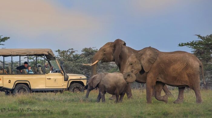 Cedarberg Travel | Porini Rhino Camp