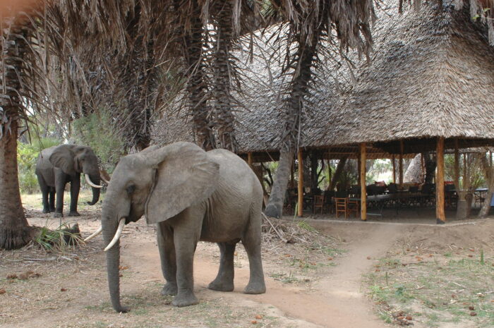 Cedarberg Travel | Lake Manze Tented Camp