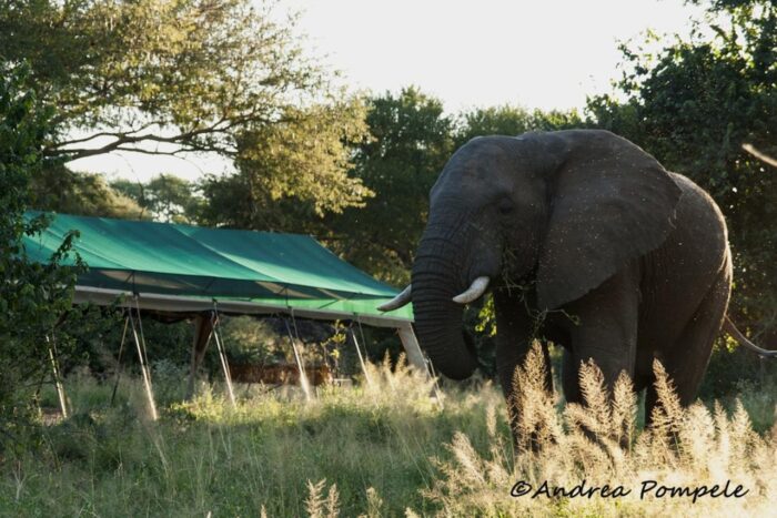 Cedarberg Travel | Mdonya Old River Camp