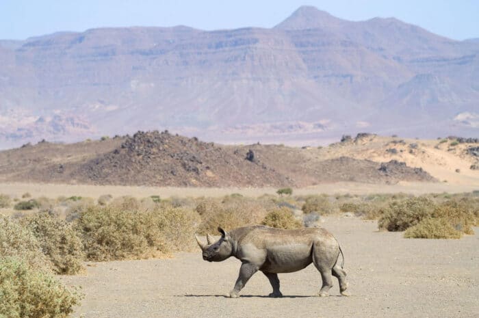 Cedarberg Travel | Doro Nawas Camp