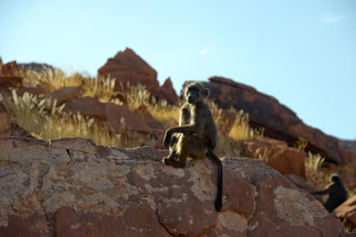 Cedarberg Travel | Doro Nawas Camp