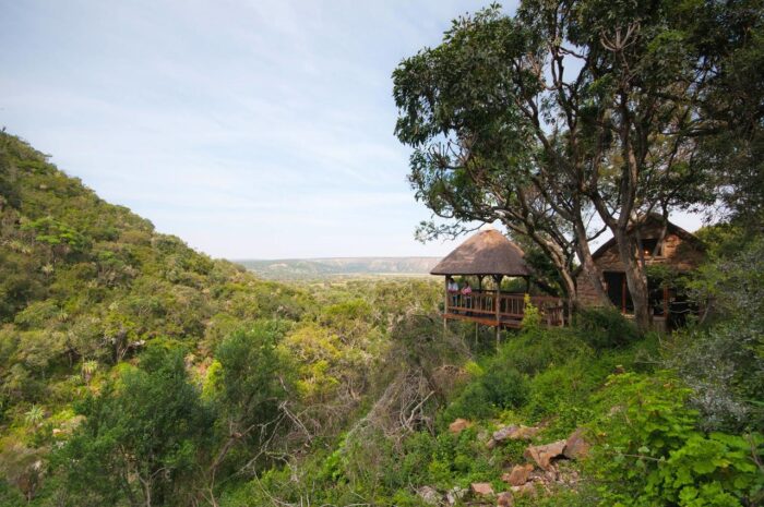 Cedarberg Travel | Amakhala Woodbury Lodge