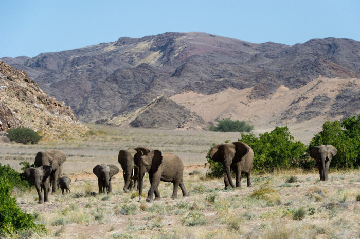 Cedarberg Travel | Doro Nawas Camp