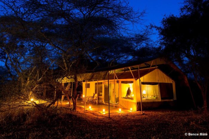 Cedarberg Travel | Porini Amboseli Camp