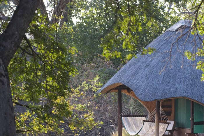 Cedarberg Travel | Imbabala Zambezi Safari Lodge