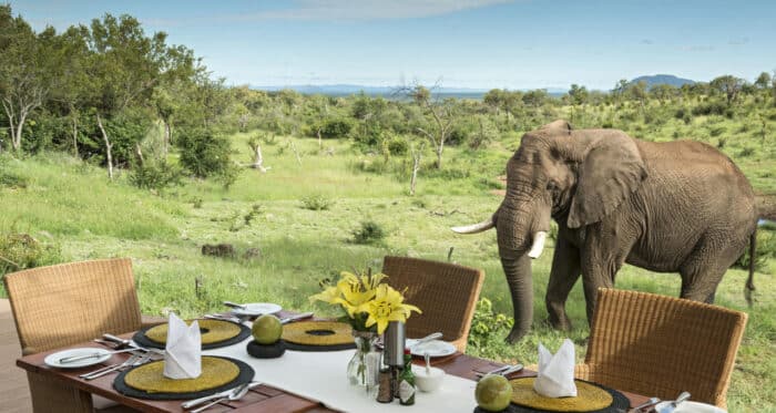 Cedarberg Travel | Royal Madikwe Luxury Safari Lodge