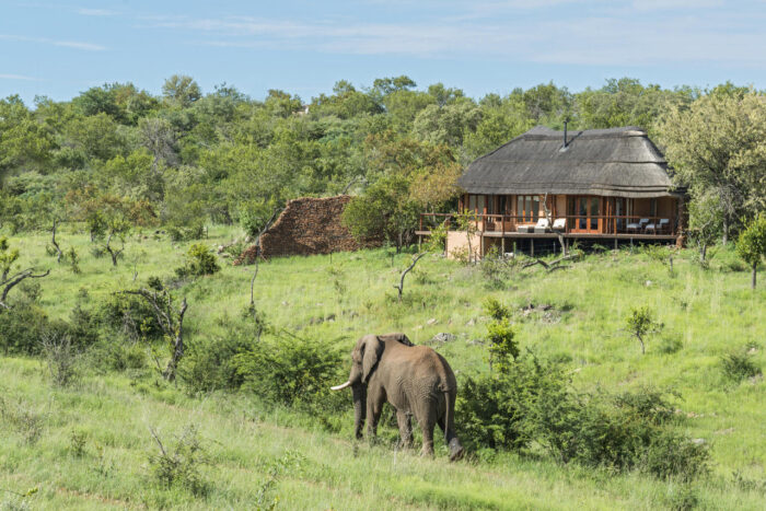 Cedarberg Travel | Royal Madikwe Luxury Safari Lodge